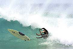 surfpicweb.jpg